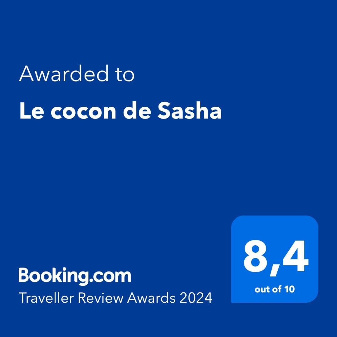 Le Cocon De Sasha - Hyper Centre - Full Climatisation - Proche Gare - 1 Chambre - Canape Convertible - Gere Par Presta-Zen'Services Верден-сюр-Мёз Экстерьер фото